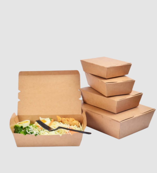 Paper Lunch Box
