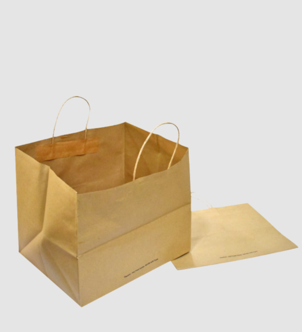 Paper Carry Bag - Image 2