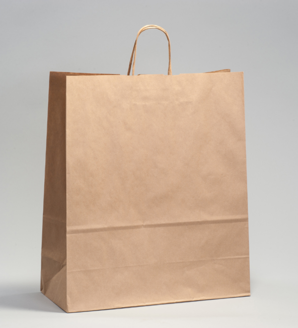 Paper Carry Bag - Image 3