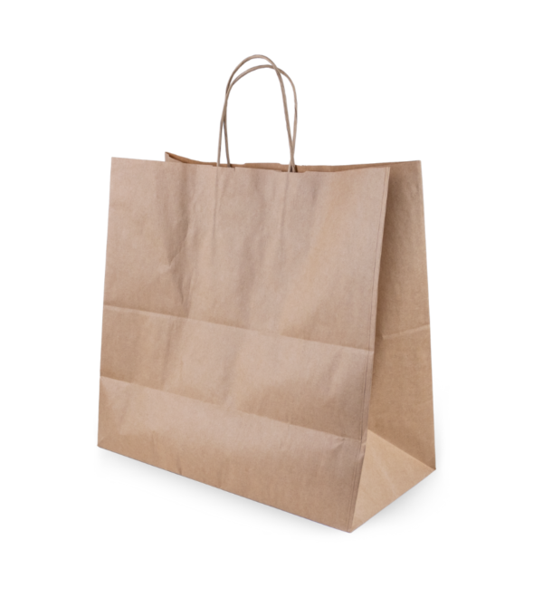 Paper Carry Bag - Image 5